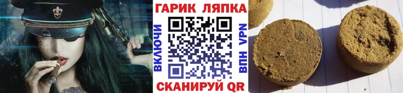 ГАШ Изолятор Волоколамск
