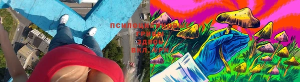 амф Алексеевка