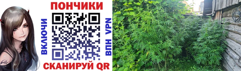 купить наркотики цена  Волоколамск  МАРИХУАНА LSD WEED 